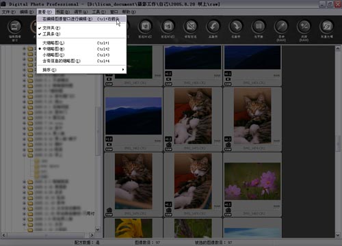 佳能DPP(Digital Photo Professional)