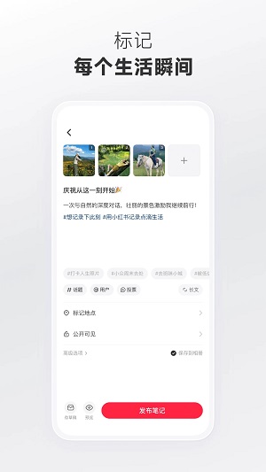 小红书PC端