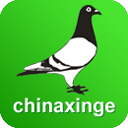 中国信鸽信息网 v20250416安卓版