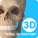 维萨里3D解剖app v6.8.2安卓版