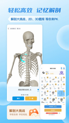 维萨里3D解剖app