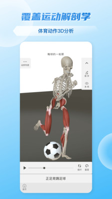 维萨里3D解剖app