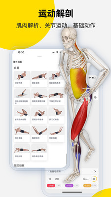 3Dbody解剖APP