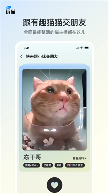 哈啰街猫手机版