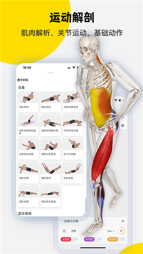 3dbody解剖软件手机版