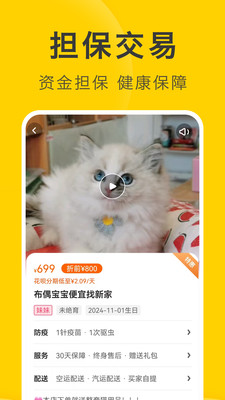 买只宠物平台