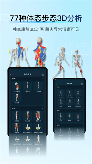解剖大师app