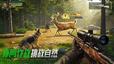 巨兽战场手游
