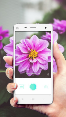 形色植物识别APP