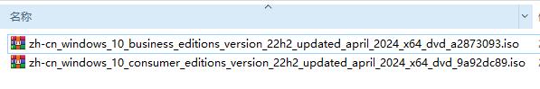 Windows10专业版官方原版镜像(22H2)64位
