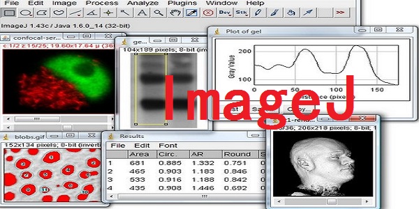ImageJ软件