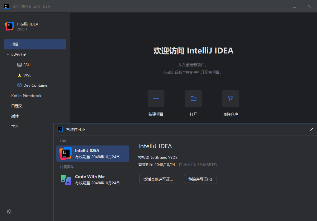 IntelliJ IDEA 2025中文激活版
