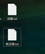 小强小说阅读器