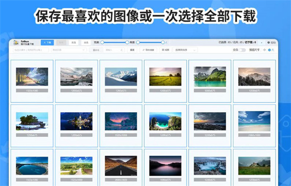 Fatkun图片批量下载插件