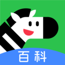 斑马百科官方版 v2.10.0最新版