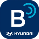 Bluelink手机版