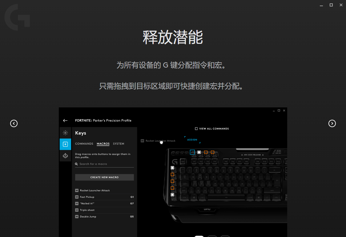 罗技gpw驱动电脑版