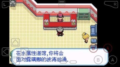 口袋妖怪剑盾
