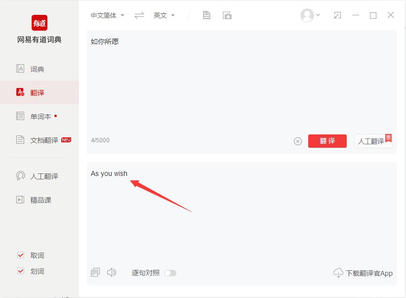 网易有道词典在线翻译