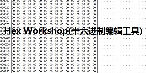 Hex Workshop十六进制编辑工具