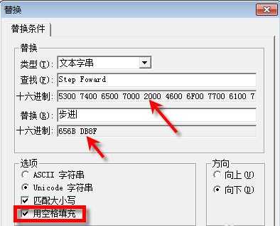 Hex Workshop十六进制编辑工具