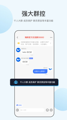 海鸥加密聊天APP