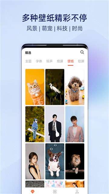 vivo主题商店官方版