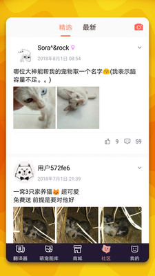 猫语翻译器APP
