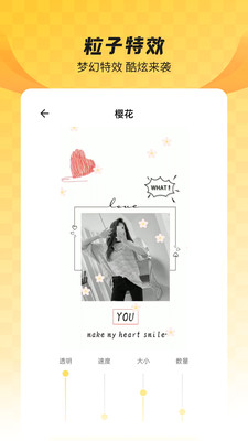 羞兔全局壁纸2025最新版
