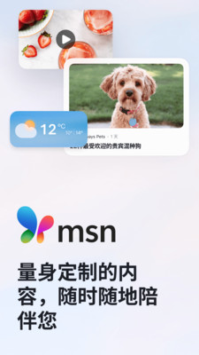 MSN手机APP