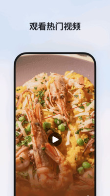 MSN手机APP