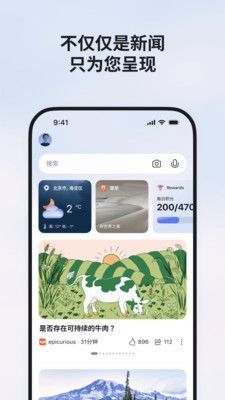 MSN手机APP