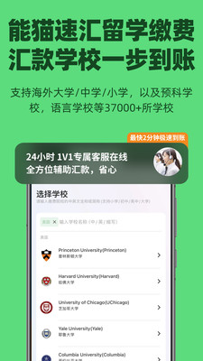 熊猫速汇(跨境汇款)