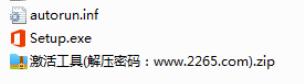 MicroSoft Project 2021专业版