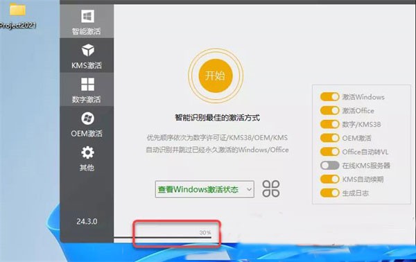 MicroSoft Project 2021专业版