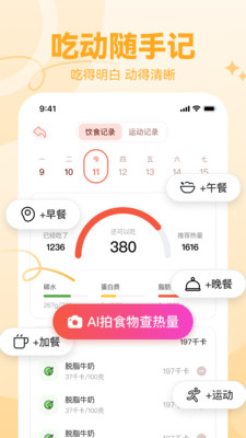 番茄轻断食AI版