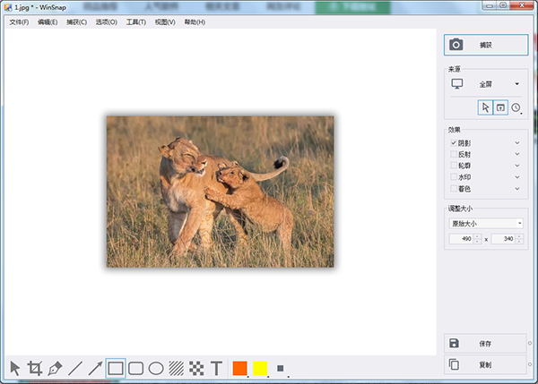 WinSnap下载