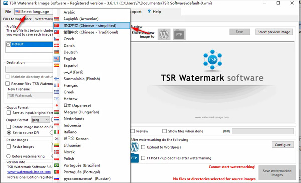 TSR Watermark Image(图片批量去水印)