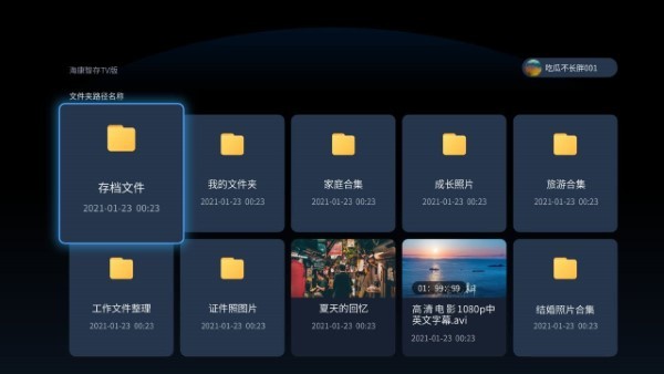 海康智存电视版
