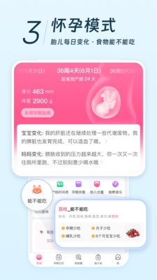美柚官方版