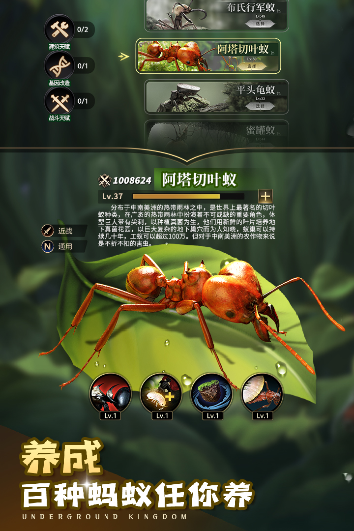 小小蚁国官方版