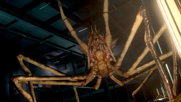 SCP5K电脑版