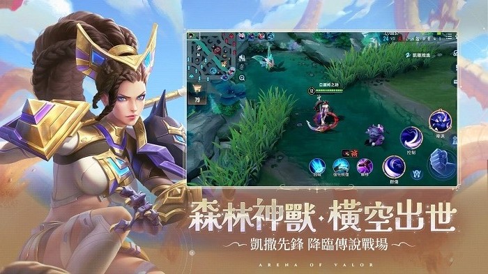 AOV传说对决(Arena of Valor)