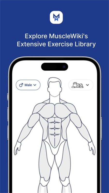 MuscleWiki中文版