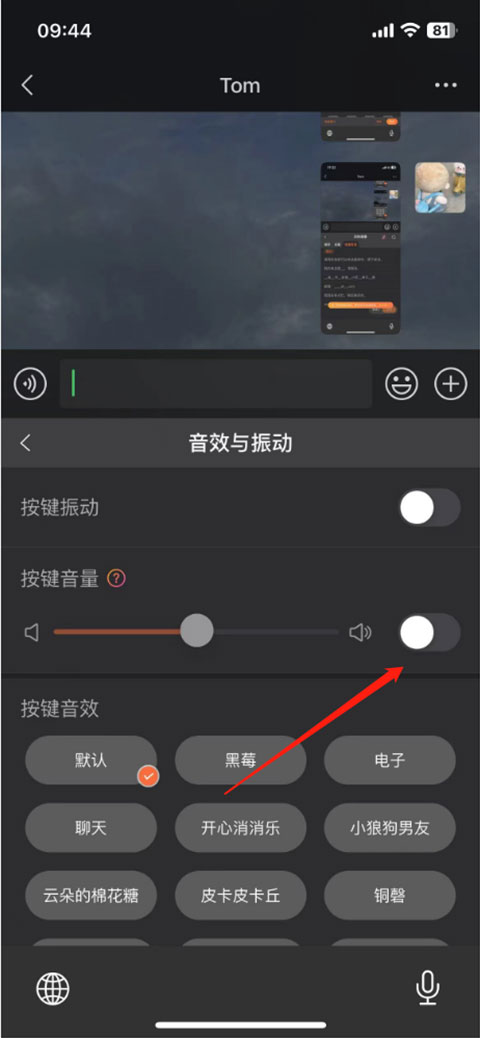 怎么关闭打字声音截图3