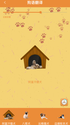 宠物猫狗翻译器APP