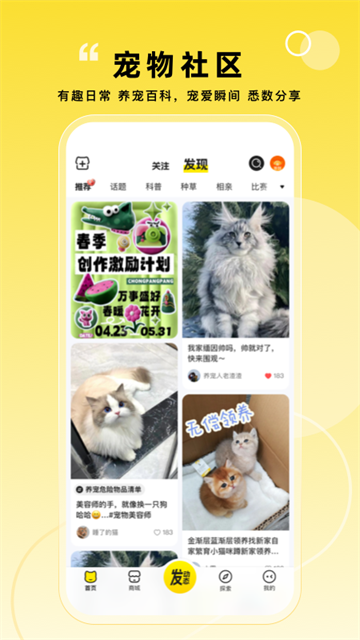 宠胖胖app