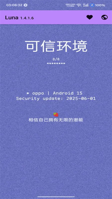 Luna环境检测工具最新版