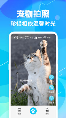 猫语翻译器APP