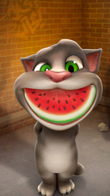 会说话的汤姆猫游戏